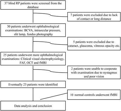 Visual task-related functional and structural magnetic resonance imaging for the objective quantitation of visual function in patients with advanced retinitis pigmentosa